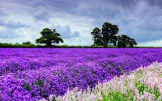 发现91爆料里的猛料：你一直在寻找的那条最刺眼的线路